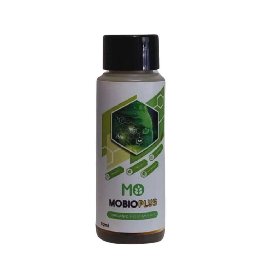 moboiplus -organic moringa bio stimulant 50ml
